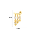 Golden cartilage stud earring with cubic zirconia tassels and screw back dimensions 2x1.24cm - 6# Gold - Multiple Tassel Zircon Drop