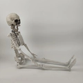 Detailed view of sitting plastic human skeleton model for Halloween prop decorations - 40cm Skeleton