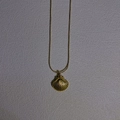 Collar minimalista de acero de titanio con colgante de concha dorada y cadena de serpiente - 1# Concha de Abanico Cadena de Serpiente