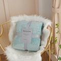 Mint green coral fleece blanket with herringbone texture in elegant gift packaging - Lake Green