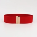 Dettaglio macro della cintura elastica rossa con fibbia rettangolare in oro lucido - Oro Rosa Rosso