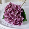 Morandi Purple