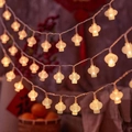 Solar powered warm yellow LED lantern string lights for festive outdoor garden decoration - Crystal Lantern (Warm) / Battery Steady (1.5m 10LED)