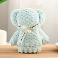 Mint green coral fleece towel bear with pearl ribbon and Just for you inscription - 30*30cm / Pearl Bear Green