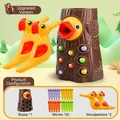 Specht-Fütterungsspielzeug mit Baumstumpf und zwanzig bunten magnetischen Würmern - 1 Baumstumpf + 2 Vögel + 20 Würmer (Upgrade)