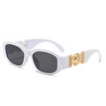 Retro small frame sunglasses with white thick frames and golden medallion detail - White Frame Dark Grey Lens