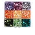 Boîte à 9 compartiments avec paillettes métalliques colorées pour travaux manuels DIY - Boîte 19 5mm / 5g Par Compartiment