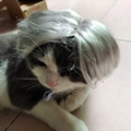 Silver Grey Center Part Short Hair