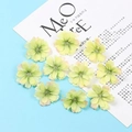Close-up of artificial plum blossoms in light yellow-green for DIY floral arrangements - Green