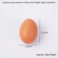 Lifelike light brown faux egg model, measures 5.5cm by 3.8cm, weighing around 50g - Model Ornament / Red Shell Egg