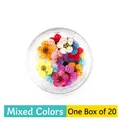 Assorted real dried mini plum flowers in a transparent box for floral nail art DIY - 20 Pcs Pack / Multicolor