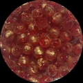 Deep red glass bead with gold foil inclusions for DIY jewelry and bracelets - 10mm / Red Gold Powder