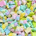 Bunte Blumen- und Blatt-Charms aus Harz für DIY-Ohrringe und Nailart-Dekorationen - Zwei Monatsrosen