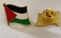 Palestine flag metal pin badge with gold-tone zinc alloy finish and enamel colors - Palestine