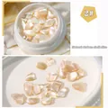 Vue détaillée de fragments de nacre d'ormeau baroque beige pour décoration d'ongles DIY - 02# Champagne Irisé