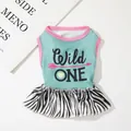 Hundekleid in Himmelblau mit Wild ONE Print und Zebramuster Rock für kleine Haustiere - S / Wild ONE Zebrastreifen