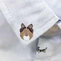 Collie 3
