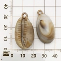Ciondoli in acrilico marrone a forma di conchiglia per gioielli fai-da-te con misure - 1 Pezzo Conchiglia in Acrilico 17x32mm