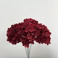 Detailed view of artificial dark red hydrangea stems with realistic floral textures - Red