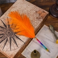 Rainbow gradient metal ballpoint pen with vibrant orange feather on a vintage desk - Orange