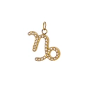 Gold Capricorn zodiac necklace pendant with white gemstone inlay in 18k plated finish - Capricorn