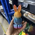12.5cm Arc-en-ciel