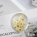 8cm crystal ball with dried yellow flowers and resin paperweight decoration - Yellow-White Daisy Ball 8cm (Kraft Box)