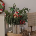 Mini Christmas tree in silver pot with plush bear and festive berry decorations - Silver Nobellis Bear Tree Bucket (With LED String)