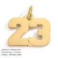 Number 23 stainless steel pendant in 14K gold finish for jewelry making, 17x14mm size - Number 23