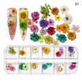 Boîte de 12 compartiments de fleurs séchées colorées pour nail art avec modèles - Série Feuilles Vert Forêt (NDF-21-07)