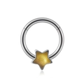 Piercing de nez 16G en acier avec pendentif étoile argentée et paillettes dorées - 1.2x8mm / Étoile (Pierre Dorée Étoilée)