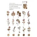 PET plant leaf sticker set with 40 vintage dried flower designs for journal decor - 40 Pieces / Leaf Specimen