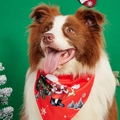Detail of Christmas pet bandana featuring Santa and reindeer prints on red polyester fabric - Red Holiday Multi-Pattern Style