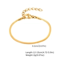 Detail der 2mm vergoldeten Schlangenkette aus Edelstahl mit Karabinerverschluss und Maßen - Armband / 02 Cm X 12–15 Cm / Gold