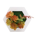 Hexagonal white frame wall decor with realistic green moss and faux succulent plants - Style 1E
