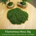 Vibrant green artificial filamentous moss for DIY landscaping decor in 30g pack - 30 g / Dark Green