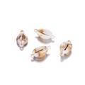 Detailed view of white and brown scallop shell acrylic charms with double-hole design - Conch 1 B30