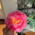 Detailed macro view of pink artificial peony hair clip with fabric petals and yellow stamens - Rose Pink - Artificial Flower Clip
