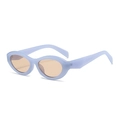 Retro lavender oval sunglasses with tinted lenses for a Y2K aesthetic fashion look - Lake Blue Frame Tea Lens