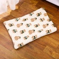 Plush cream pet sleeping mat with brown bear pattern and green Loved scarf detail - 32*25cm (Within 1.5kg) / Teddy Bear Mat