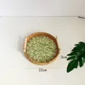 22cm round rattan tray with green leaf pattern and wooden handles for home storage - Full Leaves / Small 22x3cm