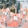 Frosted semi-transparent gift bag with pink satin ribbon and Wedding Day tag - Pink Ribbon + Wedding Tag + Raffia