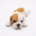 White and Brown Bulldog