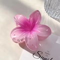 Macro d'une pince à cheveux en résine rose dégradé sur fond minimaliste et épuré - 8cm [Frangipani] / Rose