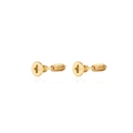 Orecchini punk a forma di vite in acciaio inossidabile dorato lucido per unisex - Oro