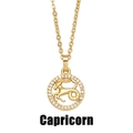 Détail macro d'un pendentif capricorne doré orné d'un pavé de pierres de zircon scintillantes - Capricorne