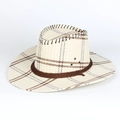 Klassischer beige Stroh-Cowboyhut mit braunem Karomuster und breiter Sonnenkrempe - Verstellbar / Beige Kariert