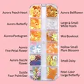 12-grid aurora holographic nail art sequins set with butterfly and heart shapes - T-317 (Icy Sweet Orange)