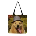 Golden Retriever with Hat (hm5156)