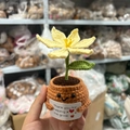 Handmade crochet potted plant with yellow flower and smiling face brown pot decoration - Yellow Lily